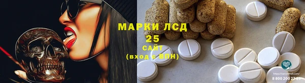 apvp Пересвет