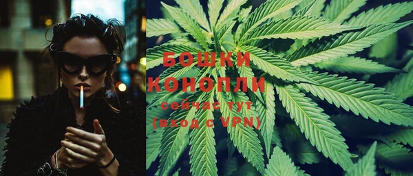 ешки Белокуриха